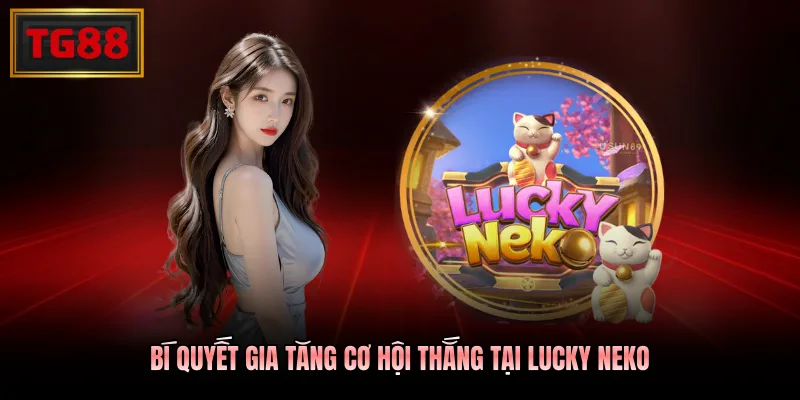 Bí quyết gia tăng cơ hội thắng tại Lucky Neko