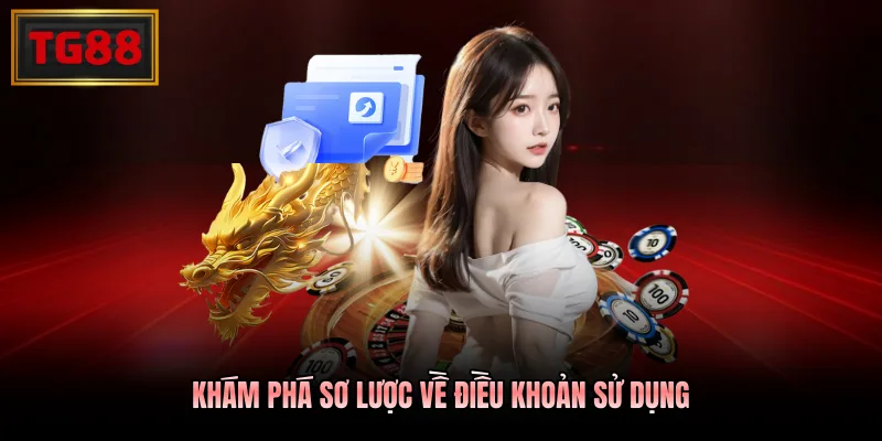 Khám phá sơ lược về điều khoản sử dụng