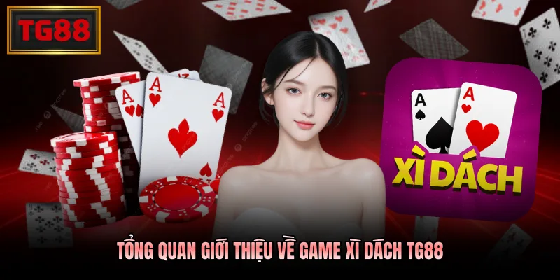 Tổng quan giới thiệu về game xì dách TG88 Tổng quan giới thiệu về game xì dách TG88